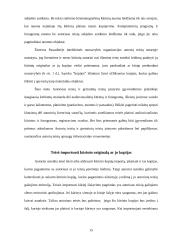 Turtinės autorių teisės samprata 15 puslapis