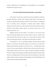 Turtinės autorių teisės samprata 18 puslapis