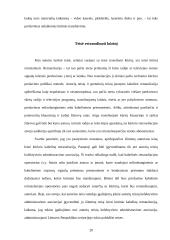 Turtinės autorių teisės samprata 20 puslapis