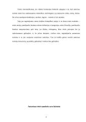 Turtinės autorių teisės samprata 4 puslapis