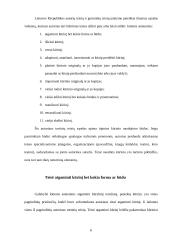 Turtinės autorių teisės samprata 6 puslapis