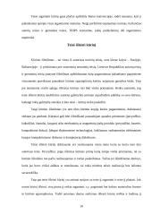 Turtinės autorių teisės samprata 10 puslapis