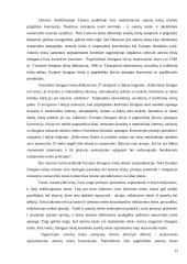 Autorių turtinės teisės ir reglamentavimo problemos Lietuvoje 12 puslapis