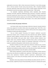 Autorių turtinės teisės ir reglamentavimo problemos Lietuvoje 13 puslapis