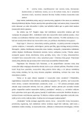 Autorių turtinės teisės ir reglamentavimo problemos Lietuvoje 17 puslapis
