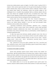 Autorių turtinės teisės ir reglamentavimo problemos Lietuvoje 19 puslapis