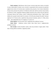 Autorių turtinės teisės ir reglamentavimo problemos Lietuvoje 3 puslapis