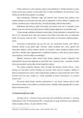 Autorių turtinės teisės ir reglamentavimo problemos Lietuvoje 5 puslapis