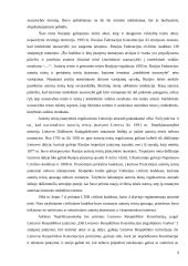 Autorių turtinės teisės ir reglamentavimo problemos Lietuvoje 9 puslapis