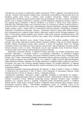 Romantizmo epochos atgarsiai Lietuvoje. Literatūra 3 puslapis