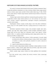 Statybos produktų sutartys 16 puslapis