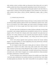 Užstatymo teisės ir jos įgyvendinimo reglamentavimas 10 puslapis