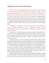 Užstatymo teisė (superficies) 4 puslapis