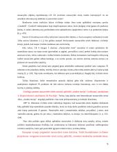 Užstatymo teisė (superficies) 5 puslapis