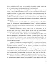 Užstatymo teisė (superficies) 8 puslapis