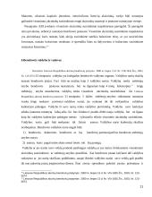 Vadovo teisinis statusas 11 puslapis