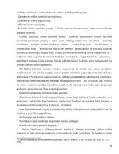 Vadovo teisinis statusas 13 puslapis