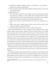 Vadovo teisinis statusas 17 puslapis