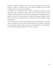 Vadovo teisinis statusas 18 puslapis