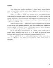 Vadovo teisinis statusas 20 puslapis