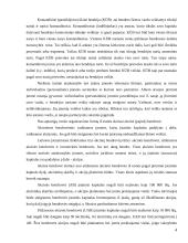 Vadovo teisinis statusas 4 puslapis