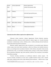 Vadovo teisinis statusas 6 puslapis