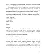 Vadovo teisinis statusas 9 puslapis