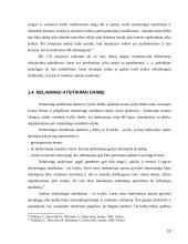 Darbdavio teisės ir pareigos organizuojant saugų darbą 10 puslapis