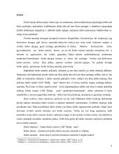 Darbo sutarties analizė 2 puslapis