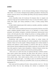 Darbo sutarties sustabdymas 2 puslapis