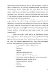 Darbo sutarties sustabdymas 17 puslapis