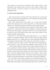 Darbo sutarties sustabdymas 8 puslapis