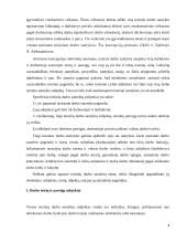 Darbo teisių ir pareigų atsiradimas ir pasibaigimas 4 puslapis