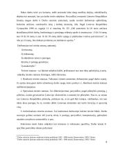 Darbo teisių ir pareigų atsiradimas ir pasibaigimas 9 puslapis