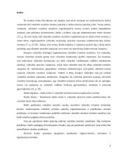 Darbo teisės ir valstybės tarnybos teisinio reguliavimo sąveika 2 puslapis