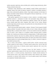 Darbo teisės ir valstybės tarnybos teisinio reguliavimo sąveika 11 puslapis