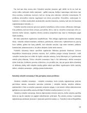 Darbo teisės ir valstybės tarnybos teisinio reguliavimo sąveika 12 puslapis