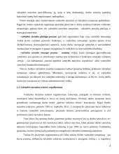 Darbo teisės ir valstybės tarnybos teisinio reguliavimo sąveika 4 puslapis