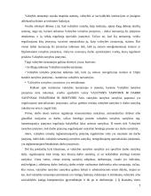 Darbo teisės ir valstybės tarnybos teisinio reguliavimo sąveika 7 puslapis