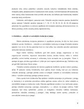 Darbo teisės ir valstybės tarnybos teisinio reguliavimo sąveika 8 puslapis