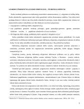 Darbo apmokėjimo augimo ir skatinimo sistema taikoma sveikatos apsaugos įmonėje 3 puslapis