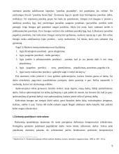 Darbo apmokėjimo augimo ir skatinimo sistema taikoma sveikatos apsaugos įmonėje 5 puslapis