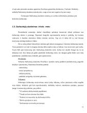 UAB „Atkirta“ darbuotojų darbuotojų skatinimo sistema 11 puslapis