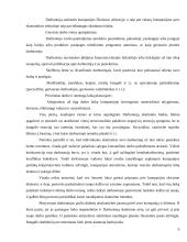 UAB „Atkirta“ darbuotojų darbuotojų skatinimo sistema 6 puslapis