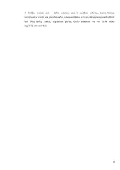 Fizinių asmenų kaip darbo subjektų ypatumai 13 puslapis