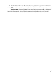 Fizinių asmenų kaip darbo subjektų ypatumai 3 puslapis