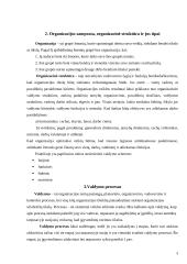 Įmonės valdymo struktūra: AB "Klaipėdos baldai" 3 puslapis