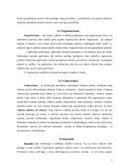 Įmonės valdymo struktūra: AB "Klaipėdos baldai" 5 puslapis