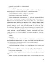 Gyventojų užimtumas ir bedarbystė 16 puslapis