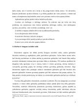 Gyventojų užimtumas ir bedarbystė 7 puslapis